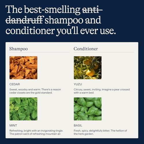 Flakes Anti Dandruff Shampoo & Conditioner Set for Dry & Flaky Scalp - 9 fl oz