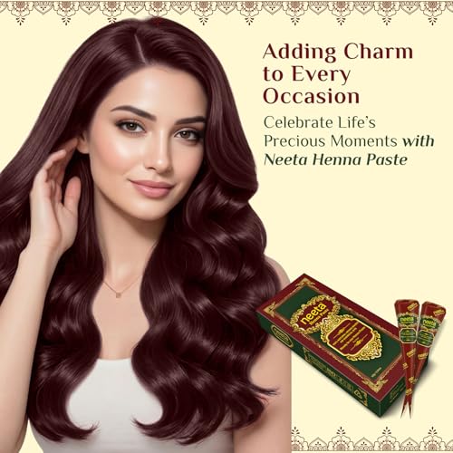 Neeta Ready-to-Use Henna Paste Cones - Reddish Brown (Pack of 4)