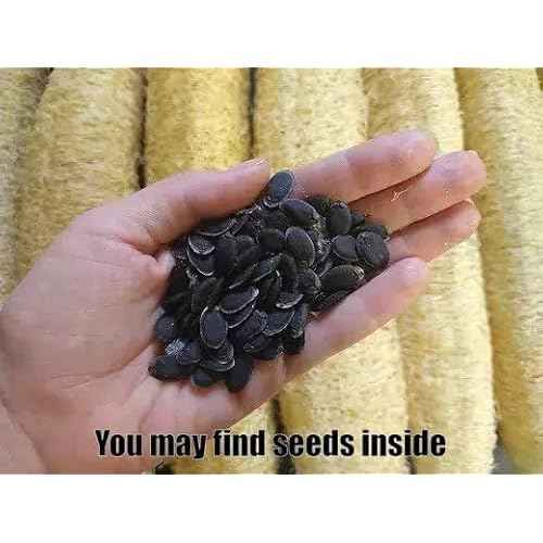 Whole Egyptian Loofah 100% Natural Organic Loofah Exfoliating Scrubber for Shower, Natural Loofah Body Sponge for Men and Women, Cream White