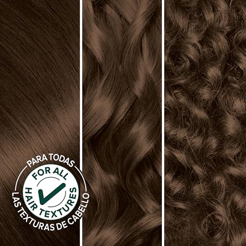 Garnier Nutrisse Ultra Crème Hair Color 43 Dark Golden Brown (Cocoa Bean) Pack of 2