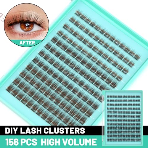 Dark Brown Cluster Lashes B Curl 8-10-12mm Mixed Volume