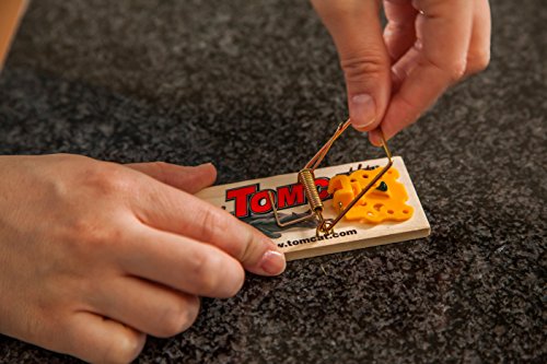 Tomcat Mouse Traps (Wooden), Inexpensive, Effective Way to Catch Mice in the Home, 2 Traps