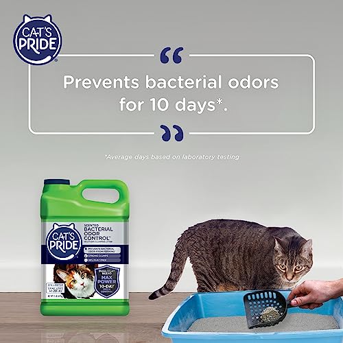 Cat's Pride Max Power: Bacterial Odor Control - Up to 10 Days of Powerful Odor Control - Strong Clumping - 99% Dust Free - Multi-Cat Litter, Scented, 15 Pounds (Pack of 2)