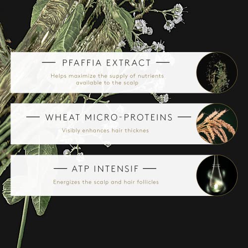 Rene Furterer Triphasic Texturizing Conditioner - Strengthens Hair and Increases Volume for Men and Women with Thinning Hair - Plant-Based Formula - Sulfate, Paraben, Silicone-Free - 5 fl. oz.