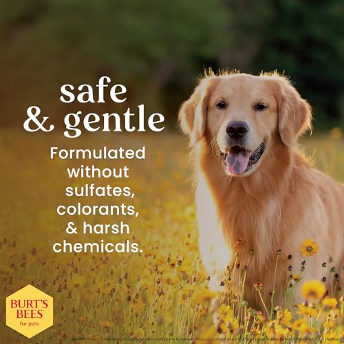 Burt's Bees Dog Detangling Spray - Natural Leave-in Grooming 10 Fl Oz