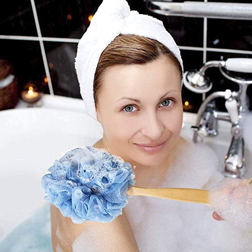 Long Handle Back Scrubber Brush with Loofah Sponge