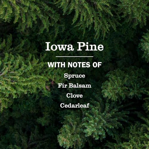 Mrs. Meyer’s Iowa Pine Liquid Hand Soap - Moisturizing, 12.5 fl oz, 3 Pack