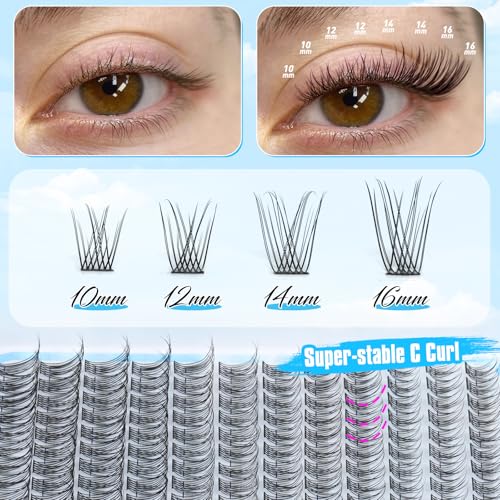 Natural Lash Extension Kit 240 Pcs Lash Clusters 10-16 MM Wispy Cluster Eyelash Extensions C Curl Individual Lashes Extensions Kit with Lash Bond and Seal and Eyelash Clusters Tweezers by Delyneph