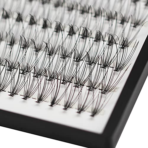 Bodermincer Large Tray D Curl 12 Rows 240 Bundles 10D Cluster Eyelash Extension Natural Russian Volume Faux Cils Eyelashes Individual Cluster False Lashes Makeup 6-20mm to Choose (8mm)