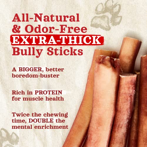 Natural Farm Odor-Free Thick Bully Sticks (12”, 10-Pack) All-Natural Long-Lasting Dog Chews, 100% Beef Pizzle, Grass-Fed, Grain-Free, Protein for Muscle Development & Energy, Perfect for Large Dogs