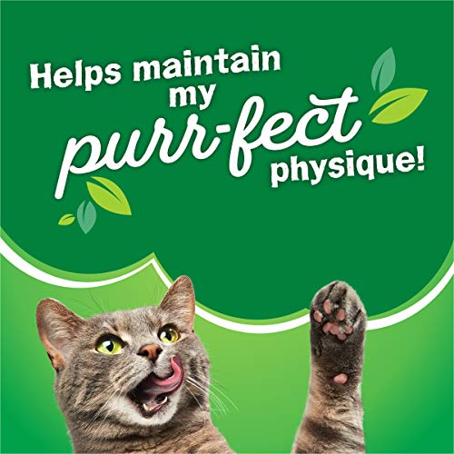 Purina Friskies Dry Cat Food, Tender & Crunchy Combo - (Pack of 4) 3.15 lb. Bags