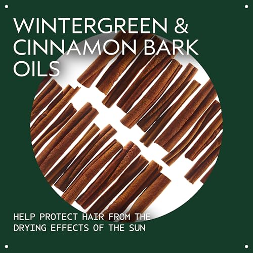 Aveda Sun Care Protective Hair Veil | UV Defense Hair Mist | Protects Against Summer Dryness | for All Hair Types, 3.4 Fl Oz