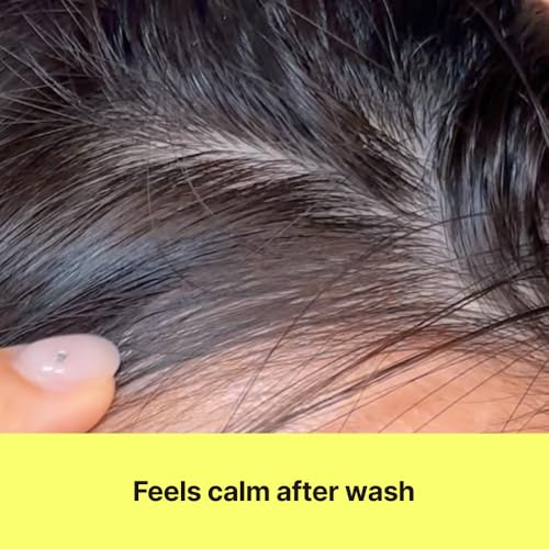 Korean Kelp Shampoo for Itchy Sensitive Scalp - Sulfate-Free 500ml