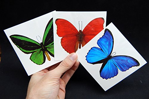Large Butterfly Temporary Tattoos | 6 Sheets Water-Applied