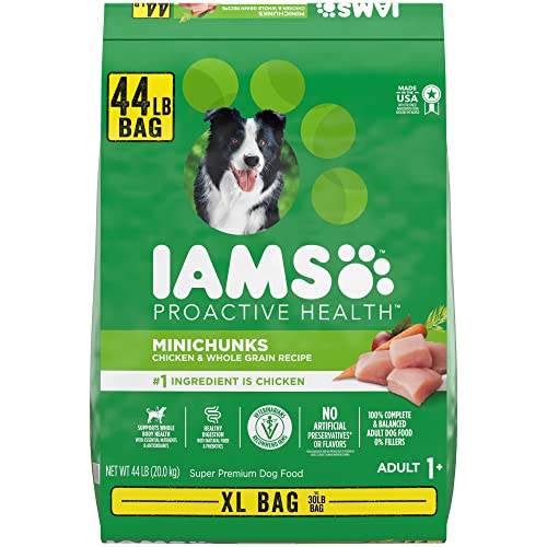 Iams Proactive Health Minichunks with Chicken & Whole Grain Recipe Adult Dry Dog Food, 44 lbs.