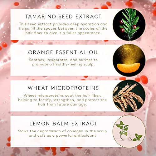 Ren? Furterer TONUCIA Concentrated Youth Serum - For Thin, Weakened Hair Due to Aging - Collagen-Boosting Pro-Youth Ritual - 2.5 fl. oz.