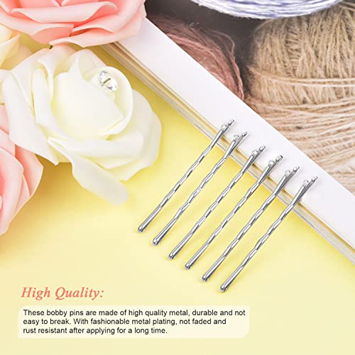 240pcs Silver Bobby Pins for Gray Hair with Storage Case