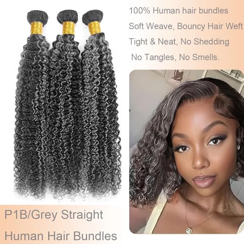 Jerry Curly Wave Bundles P1B/Grey Human Hair Bundles 10 12 14 Inch Human Hair 3 Bundles Unprocessed Brazilian Virgin Quick Weave Human Hair Extensions For Black Women