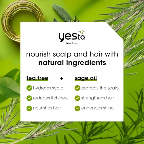 Yes To Tea Tree Scalp Relief Shampoo, pH Balancing Formula To Calm Dry Itchy Scalp While Moisturizing & Nourishing Hair, With Tea Tree & Sage Oil, Natural, Vegan & Cruelty Free, 12 Fl Oz