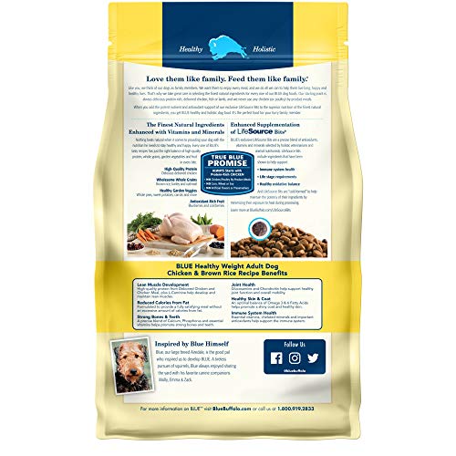 Blue Buffalo Life Protection Formula Natural Adult Healthy Weight Dry Dog Food, Chicken and Brown Rice 6-lb