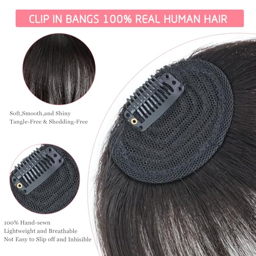 Clip-In Bangs 100% Real Human Hair Curtain Fringe Extensions