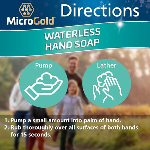 MicroGold Alcohol-Free Hand Sanitizer & Foaming Antibacterial Soap, 4 oz