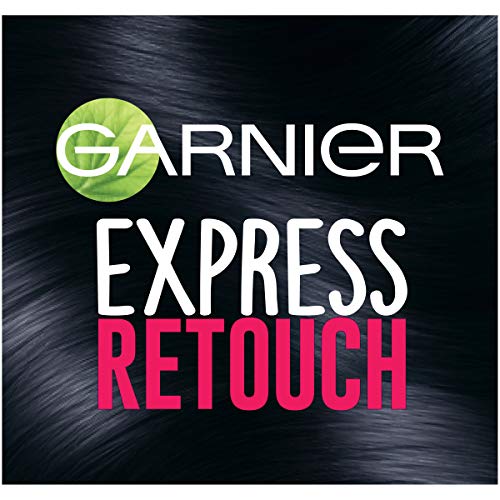 Garnier Express Retouch Gray Hair Concealer - Black