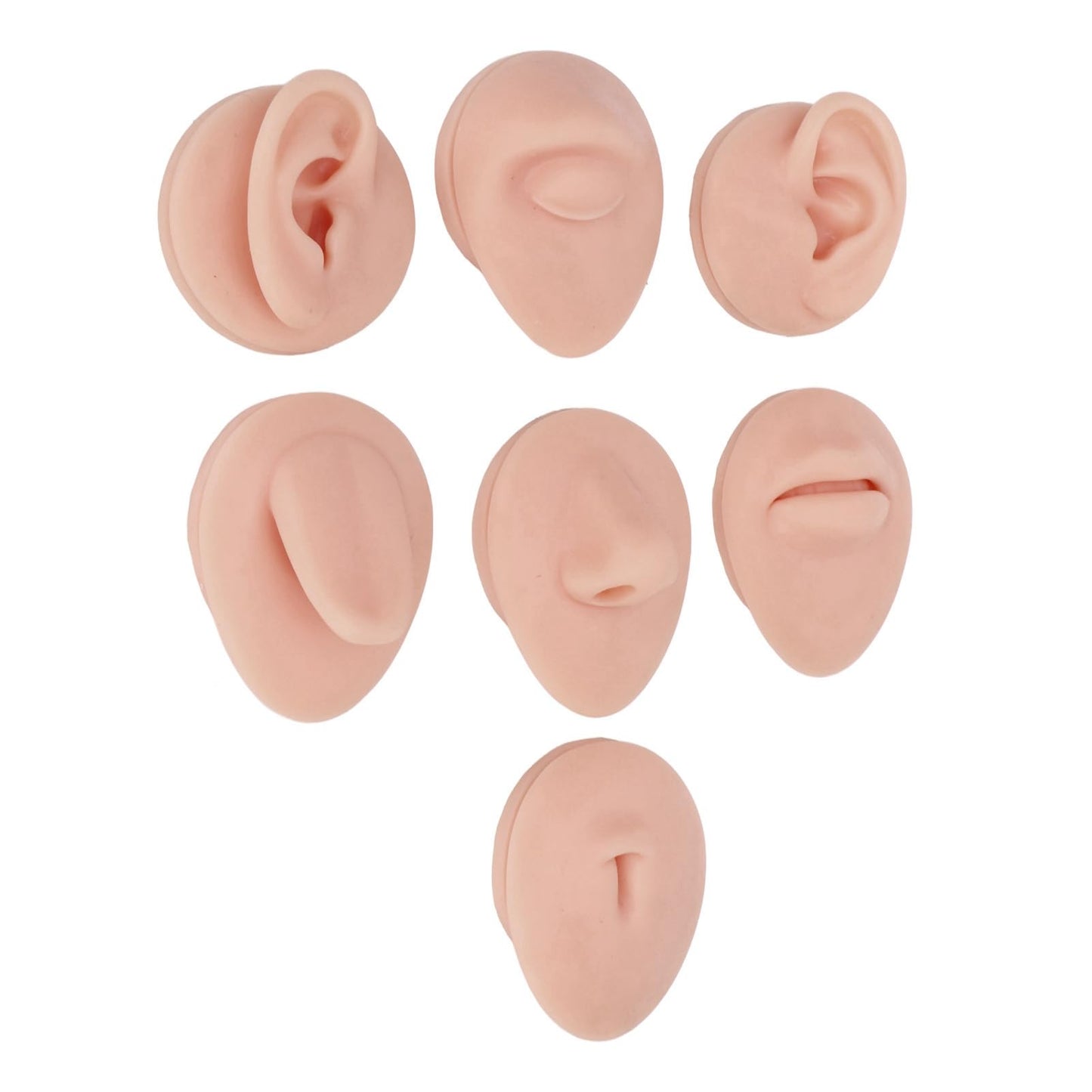 Soft Silicone Flexible Model Body Part, Silicone Nose Tongue Mouth Eye Navel Ear Model Fake Ear with 2 Base for Piercing Practice Acupuncture and Jewelry Display Teaching Tool (Medium Fleshcolor)