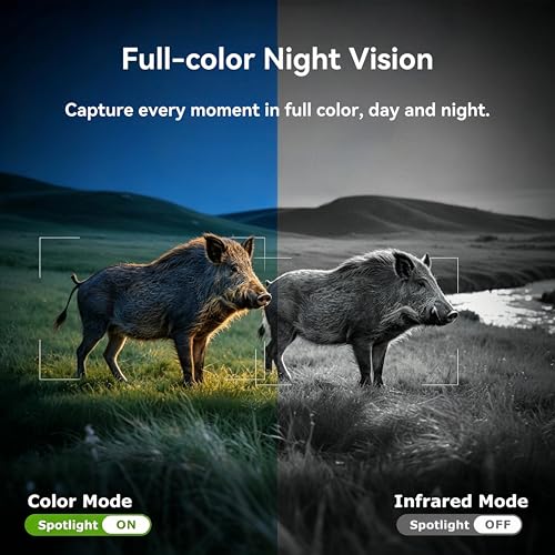 4G LTE Solar Trail Camera with SIM Card - 2K Live View Wildlife Cam