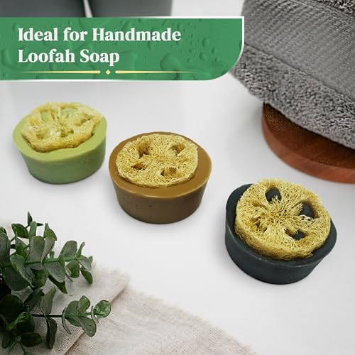 Natural Loofah Slices for Soap Making (20 Pack) - Organic Loufa Cuts - Bulk Luffa - Soap Making Supplies
