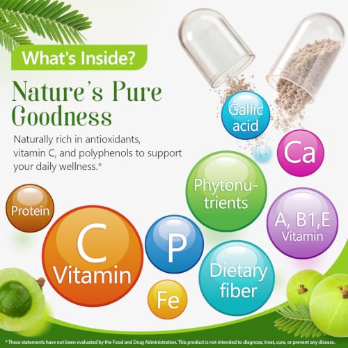 JYVGNLXS 1 Bottle - 90 Vegan High-Potency Amla Capsules for Cellular Support & Wellness