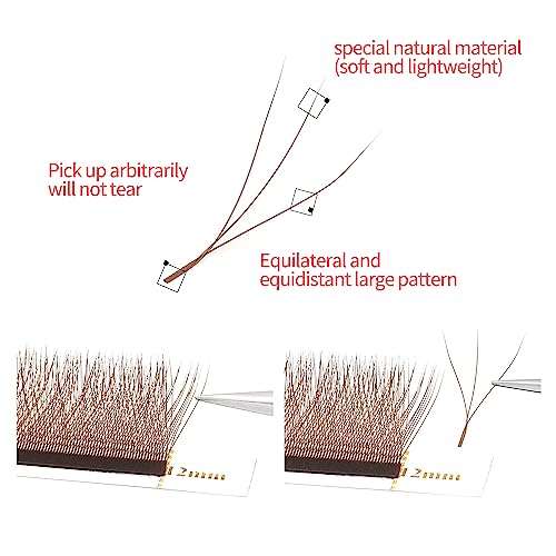 Brown 3D W Lash Extensions 0.07mm C/D Curl Premade Fans