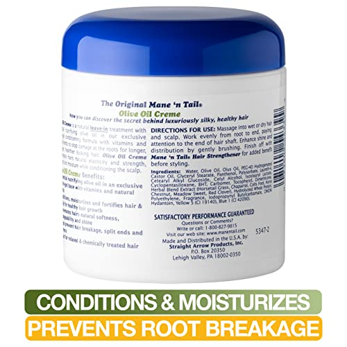 AGADIR Hair Shield 450 Intense Creme Treatment, 10 Fl Oz