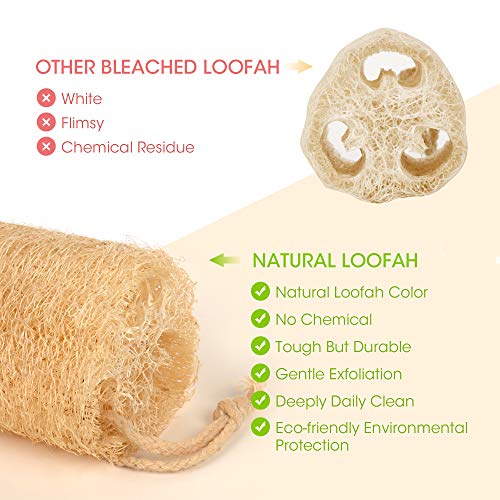 Natural Loofah Sponge 4 Pack - Organic Exfoliating Body Scrubber
