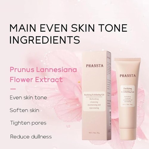 Phansta Exfoliating Gel, Phansta Purifying Enzymes Exfoliating Gel, Exfoliating Gel Scrub for Face, Moisturizing Exfoliating Scrub Gel for All Skin (3pcs)