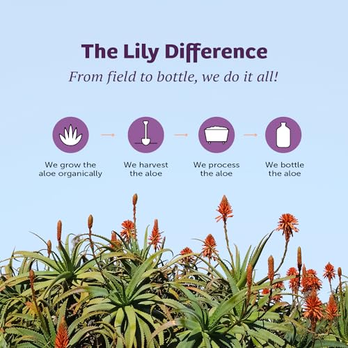 Lily Of The Desert Gelly Moisturizer - 99% Organic Aloe Vera Gel for Skin, After Sun Care with Aloe, Vitamin E Oil, and Vitamin C for Sunburn Relief, 8 Fl Oz