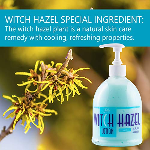 Fuller Witch Hazel Lotion, Unscented ? 16 fl oz | Lightweight Daily Moisturizing Lotion with Witch Hazel Extract | Gentle Formula for All Skin Types (16 Oz, scented)