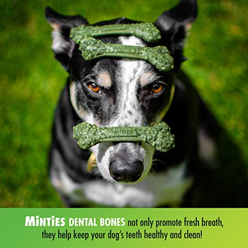 Minties Dental Chews for Dogs, 80 Count, Vet-Recommended Mint-Flavored Dental Treats for Tiny/Small Dogs 5-24 lbs, Dental Bones Clean Teeth, Fight Bad Breath, and Removes Plaque and Tartar