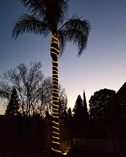 50ft 360 LED Waterproof Rope Lights,110V Connectable Indoor Outdoor Led Rope Lights for Deck,Patio,Pool,Backyard,Camping,Indoor Bedroom,Landscape Lighting and Christmas Tree Decorations (Warm White)