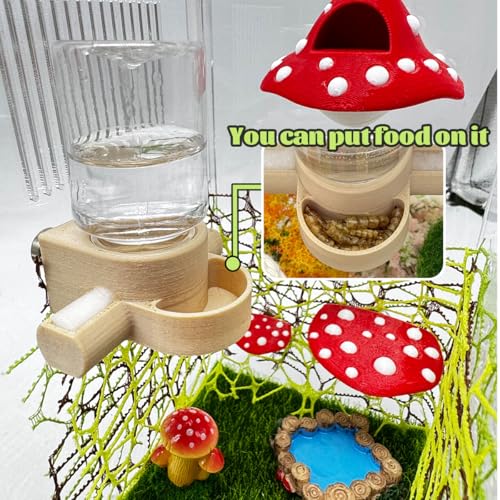 Magnetic Jumping Spider Water Dispenser & Feeder with Tweezers