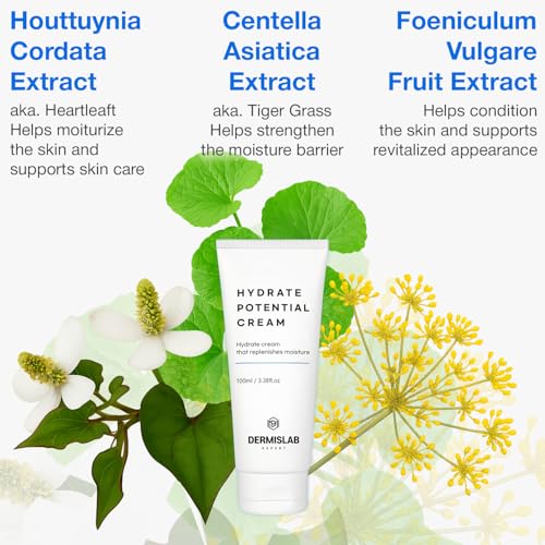 Hydrate Potential Cream ? Korean Skincare Hyaluronic Acid & Ceramide Deep Hydration Face Cream | 100 ml / 3.38 oz