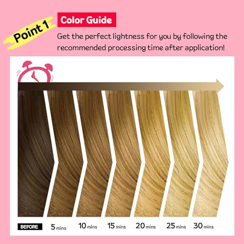 eZn Highlight Hair Bleach Kit - Korean Lightener with Tray & Brush