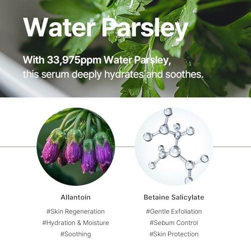 ROUME Water Parsley Facial Toner (33,975ppm) - Pore Minimizing & Sebum Control for Oily & Combination Skin, Brightening & Anti-Aging Korean Skincare for Glass Skin, 6.76 fl.oz (200ml)