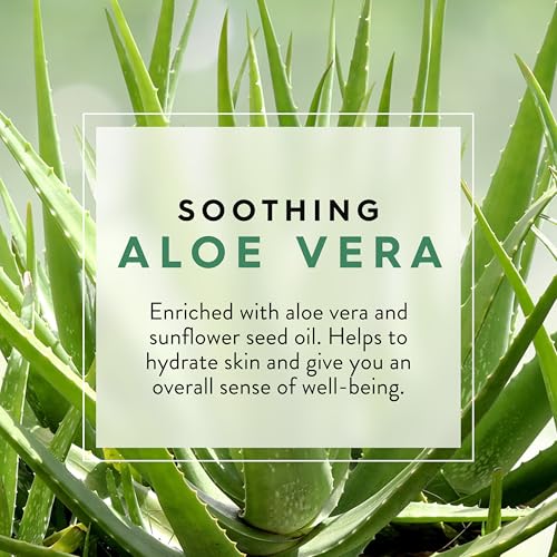 JASON Aloe Vera Soothing Body Wash, For a Gentle Feeling Clean, 30 Fluid Ounces