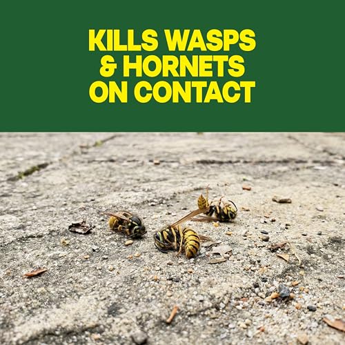 Raid Wasp & Hornet Killer Spray, 14 oz, 2-Pack