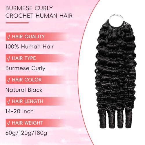 SODLIS Feather Crochet Hair 14" Burmese Curly 60g