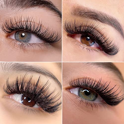 Volume Lash Extensions 0.05 D Curl 8-16mm Mixed Length Tray