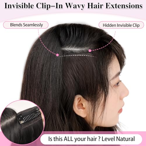 ALXNAN Clip-In Wavy Hair Extensions 20 Inch 4pc Set Black
