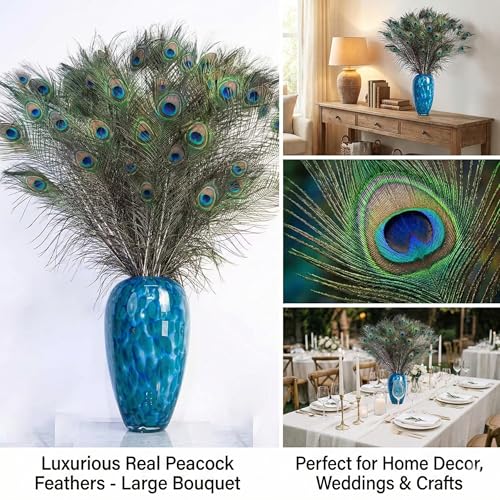 40 Pcs Natural Peacock Feathers 28-32 Inch for Vases & Decor