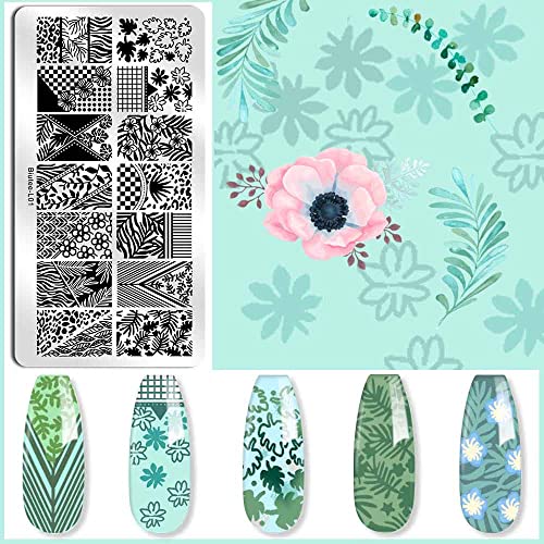 Biutee Nail Stamping Plates 10pcs Templates with Stamper Nail Stamper Nail Art Plates Kits Nail Plates Template Plates Leaves Flowers Animal Holiday Design